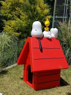 20180506_122609.jpg